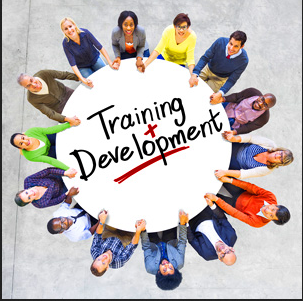 Youth development